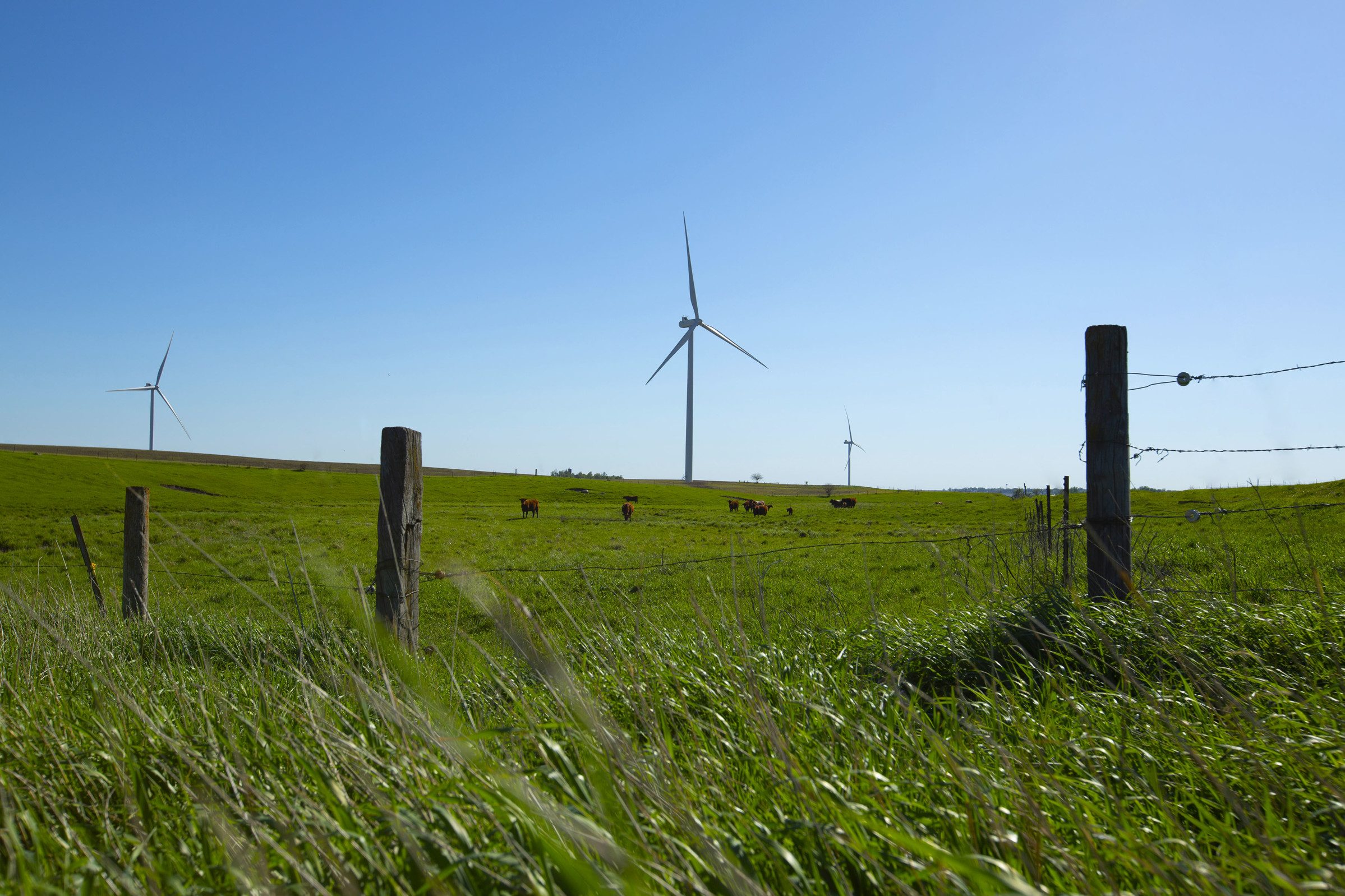 Wind tenaska renewables